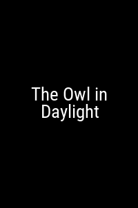 The Owl in Daylight Movie Poster Not Available