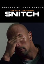 Snitch Movie posters