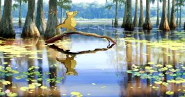 The Princess and the Frog Movie photos