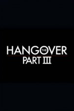 The Hangover Part III Movie posters