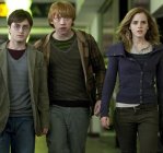 Harry Potter and the Deathly Hallows: Part I Movie photo