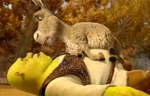 Shrek Forever After Movie photos