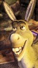 Shrek Forever After Movie photos