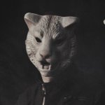 You're Next Movie photos