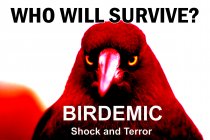 Birdemic: Shock and Terror Movie photos