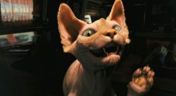 Cats & Dogs: The Revenge of Kitty Galore Movie photos