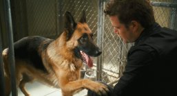 Cats & Dogs: The Revenge of Kitty Galore Movie photos