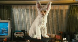 Cats & Dogs: The Revenge of Kitty Galore Movie photos