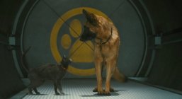 Cats & Dogs: The Revenge of Kitty Galore Movie photos