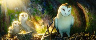 Legend of the Guardians: The Owls of Ga'Hoole Movie photos