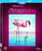 The Crimson Wing: Mystery of the Flamingos Movie photos