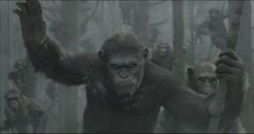 Dawn of the Planet of the Apes Movie photos