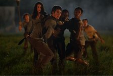 The Maze Runner Movie Photo 141519