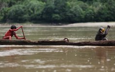 The Green Inferno Movie photos