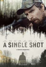 A Single Shot Movie photos