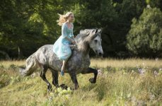 Cinderella Movie photos