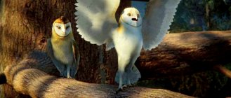 Legend of the Guardians: The Owls of Ga'Hoole Movie photos