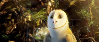 Legend of the Guardians: The Owls of Ga'Hoole Movie photos