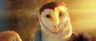 Legend of the Guardians: The Owls of Ga'Hoole Movie photos