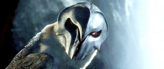 Legend of the Guardians: The Owls of Ga'Hoole Movie photos