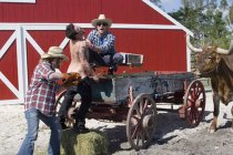 Jackass Number Two Movie Photo 1716