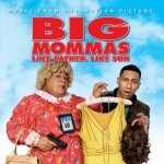 Big Mommas: Like Father, Like Son Movie photos