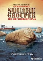 Square Grouper Movie photos