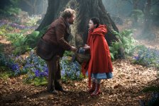 Into the Woods Movie photo