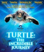 Turtle: The Incredible Journey Movie photos