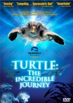 Turtle: The Incredible Journey Movie photos