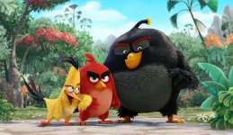 Angry Birds Movie Photo 182006