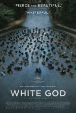 White God Movie photos