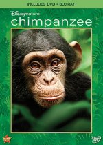 Chimpanzee Movie photos