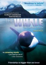 The Whale Movie photos