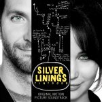 The Silver Linings Playbook Movie photos