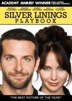 The Silver Linings Playbook Movie photos