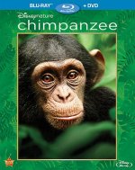 Chimpanzee Movie photos