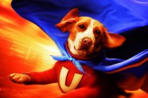 Underdog Movie photos