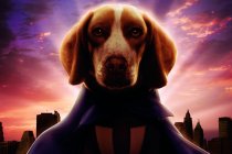 Underdog Movie photos