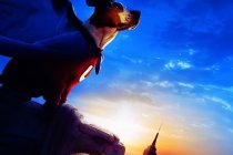 Underdog Movie photos