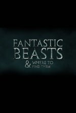 Fantastic Beasts and Where to Find Them Movie posters