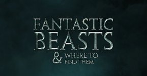 Fantastic Beasts and Where to Find Them Movie photos