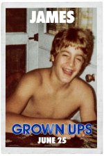 Grown Ups Movie posters