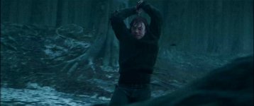 Harry Potter and the Deathly Hallows: Part I Movie photos