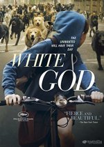 White God Movie photos