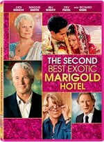 The Second Best Exotic Marigold Hotel Movie photos