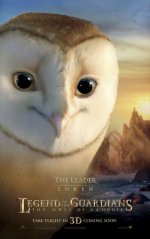 Legend of the Guardians: The Owls of Ga'Hoole Movie photos