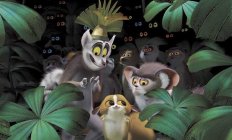 Madagascar Movie Photo 231