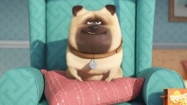 The Secret Life of Pets Movie photos