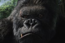 King Kong Movie photos